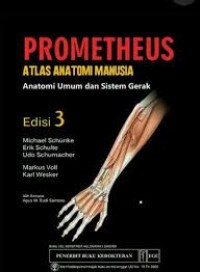 Image of PROMETHEUS : ATLAS ANATOMI MANUSIA : ANATOMI UMUM DAN SISTEM GERAK